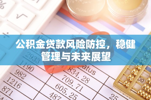 临洮公积金贷款风险防控，稳健管理与未来展望