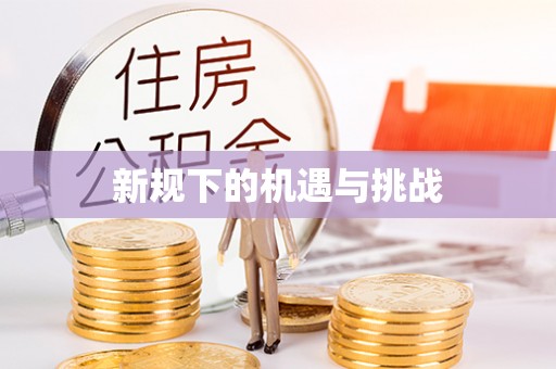 临洮新规下的机遇与挑战