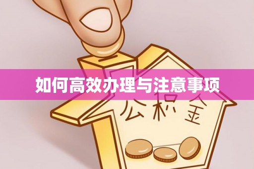 临洮如何高效办理与注意事项