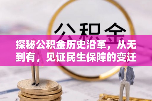临洮探秘公积金历史沿革，从无到有，见证民生保障的变迁