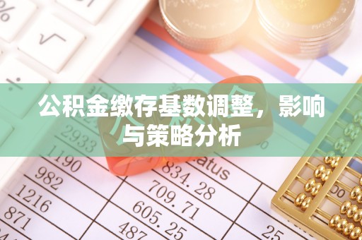 临洮公积金缴存基数调整，影响与策略分析