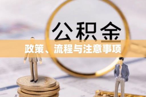 临洮政策、流程与注意事项