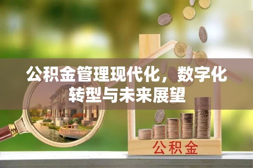 临洮公积金管理现代化，数字化转型与未来展望