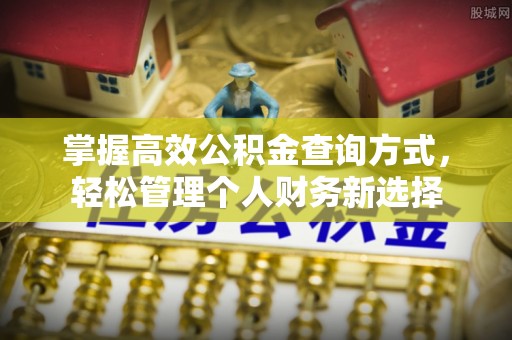 临洮掌握高效公积金查询方式，轻松管理个人财务新选择