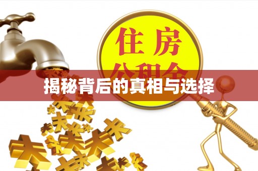 临洮揭秘背后的真相与选择