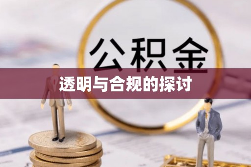 临洮透明与合规的探讨