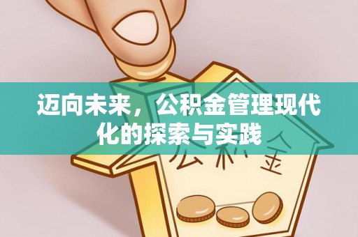 临洮迈向未来，公积金管理现代化的探索与实践