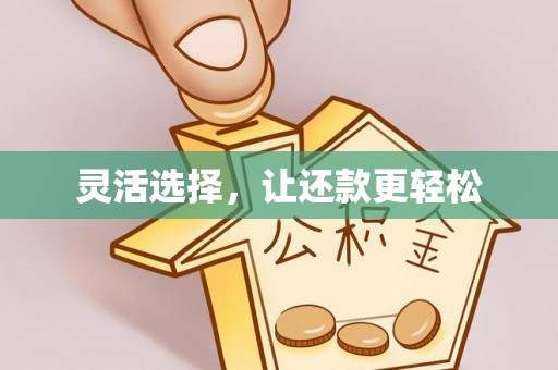 临洮灵活选择，让还款更轻松