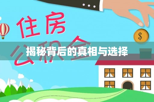 临洮揭秘背后的真相与选择