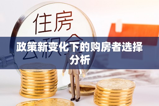 临洮政策新变化下的购房者选择分析