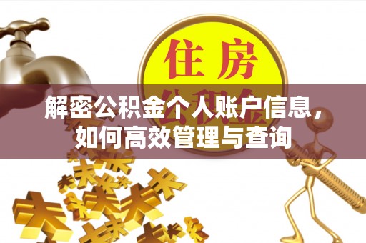 临洮解密公积金个人账户信息，如何高效管理与查询