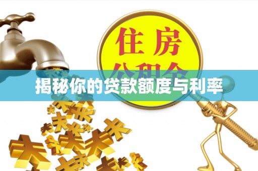 临洮揭秘你的贷款额度与利率