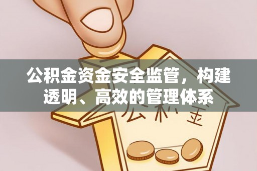 临洮公积金资金安全监管，构建透明、高效的管理体系