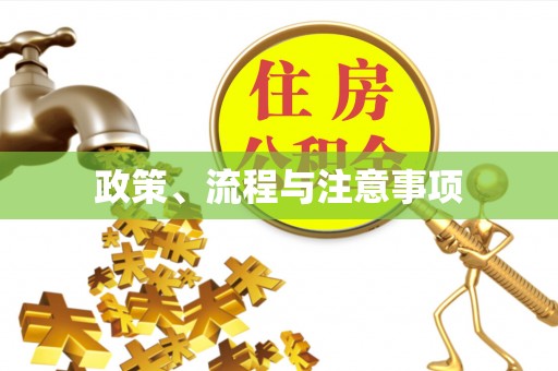 临洮政策、流程与注意事项
