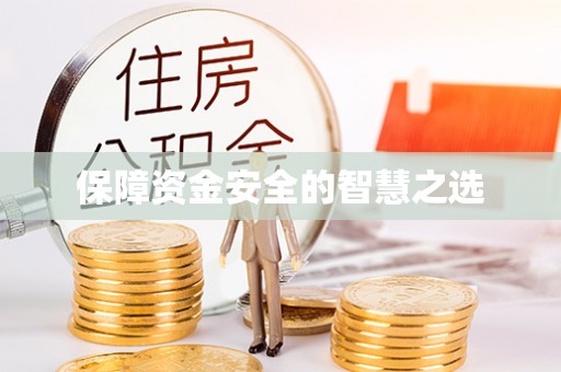 临洮保障资金安全的智慧之选