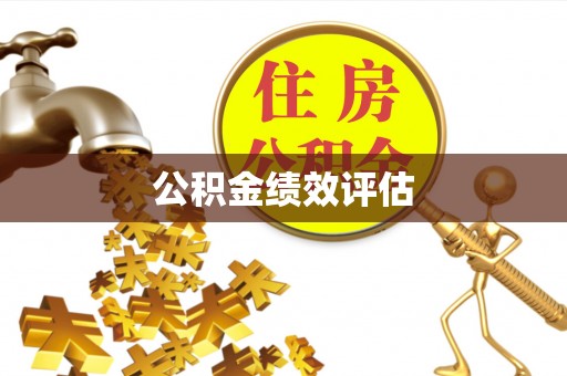 临洮公积金绩效评估