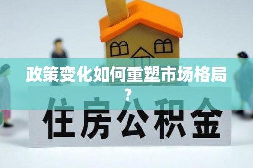 临洮政策变化如何重塑市场格局？