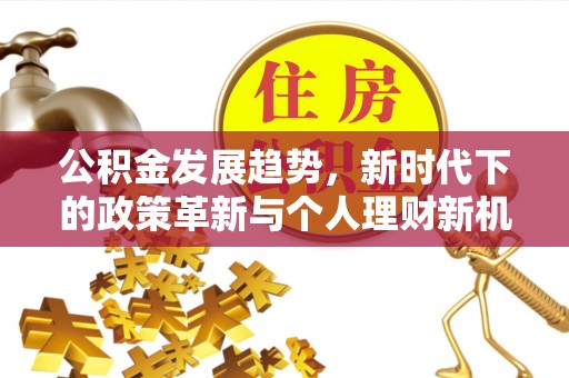 临洮公积金发展趋势，新时代下的政策革新与个人理财新机遇