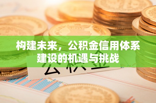 临洮构建未来，公积金信用体系建设的机遇与挑战