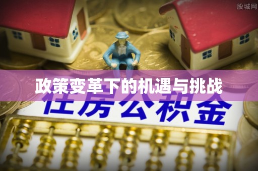 临洮政策变革下的机遇与挑战