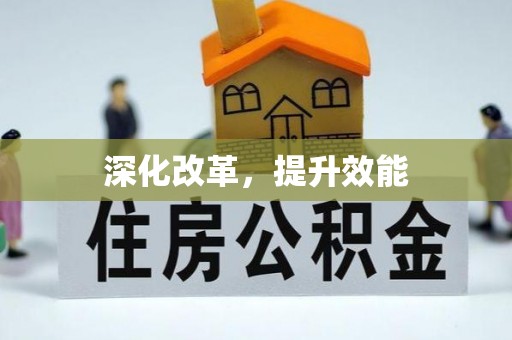 临洮深化改革，提升效能