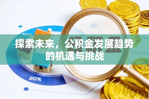 临洮探索未来，公积金发展趋势的机遇与挑战