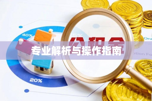 临洮专业解析与操作指南