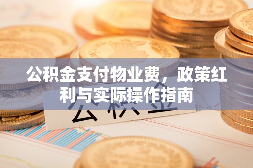 临洮公积金支付物业费，政策红利与实际操作指南