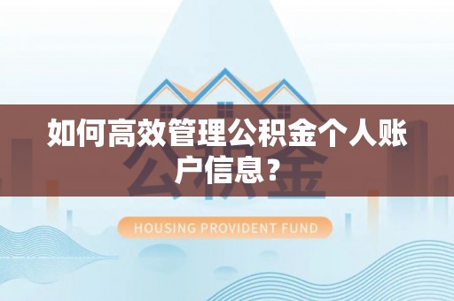 临洮如何高效管理公积金个人账户信息？