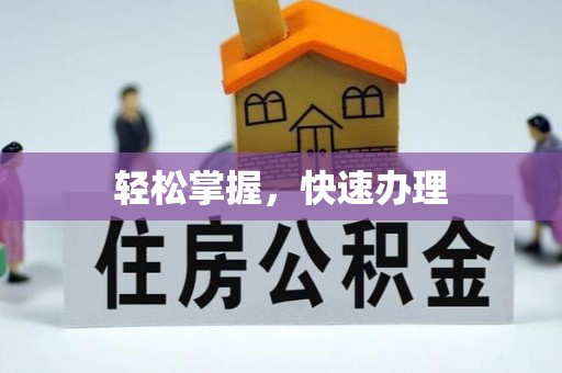 临洮轻松掌握，快速办理