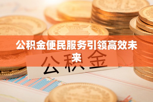 临洮公积金便民服务引领高效未来