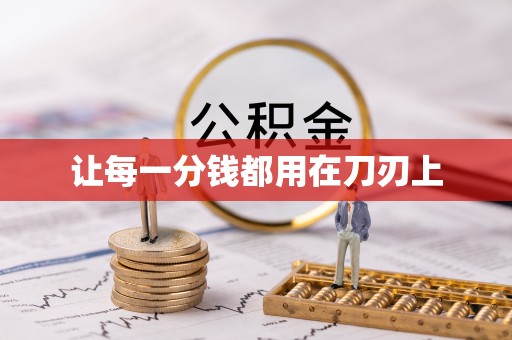 临洮让每一分钱都用在刀刃上
