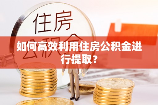 临洮如何高效利用住房公积金进行提取？