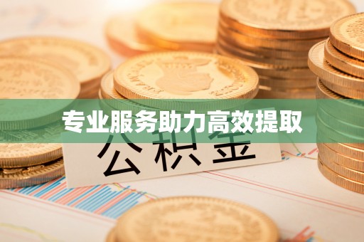 临洮专业服务助力高效提取