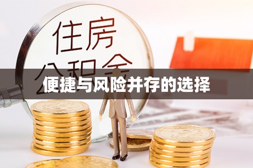 临洮便捷与风险并存的选择