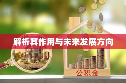 临洮解析其作用与未来发展方向