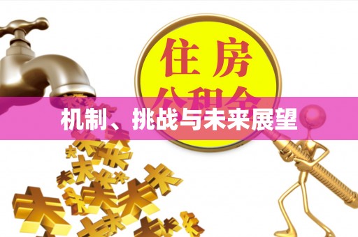 临洮机制、挑战与未来展望